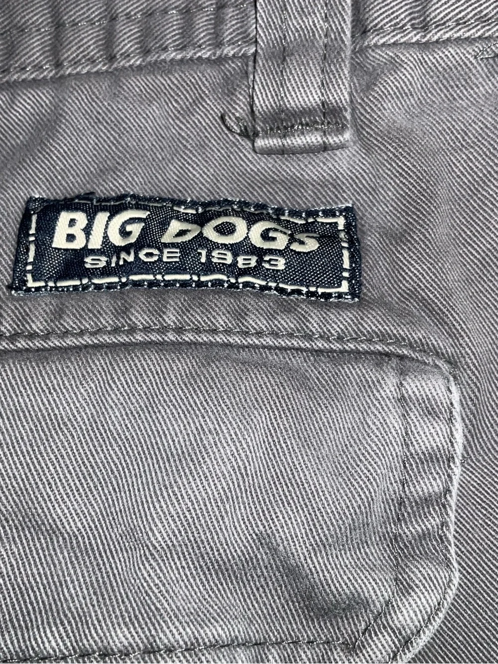 Big Dogs Gray Cargo Shorts with Multi-Pocket Utility
